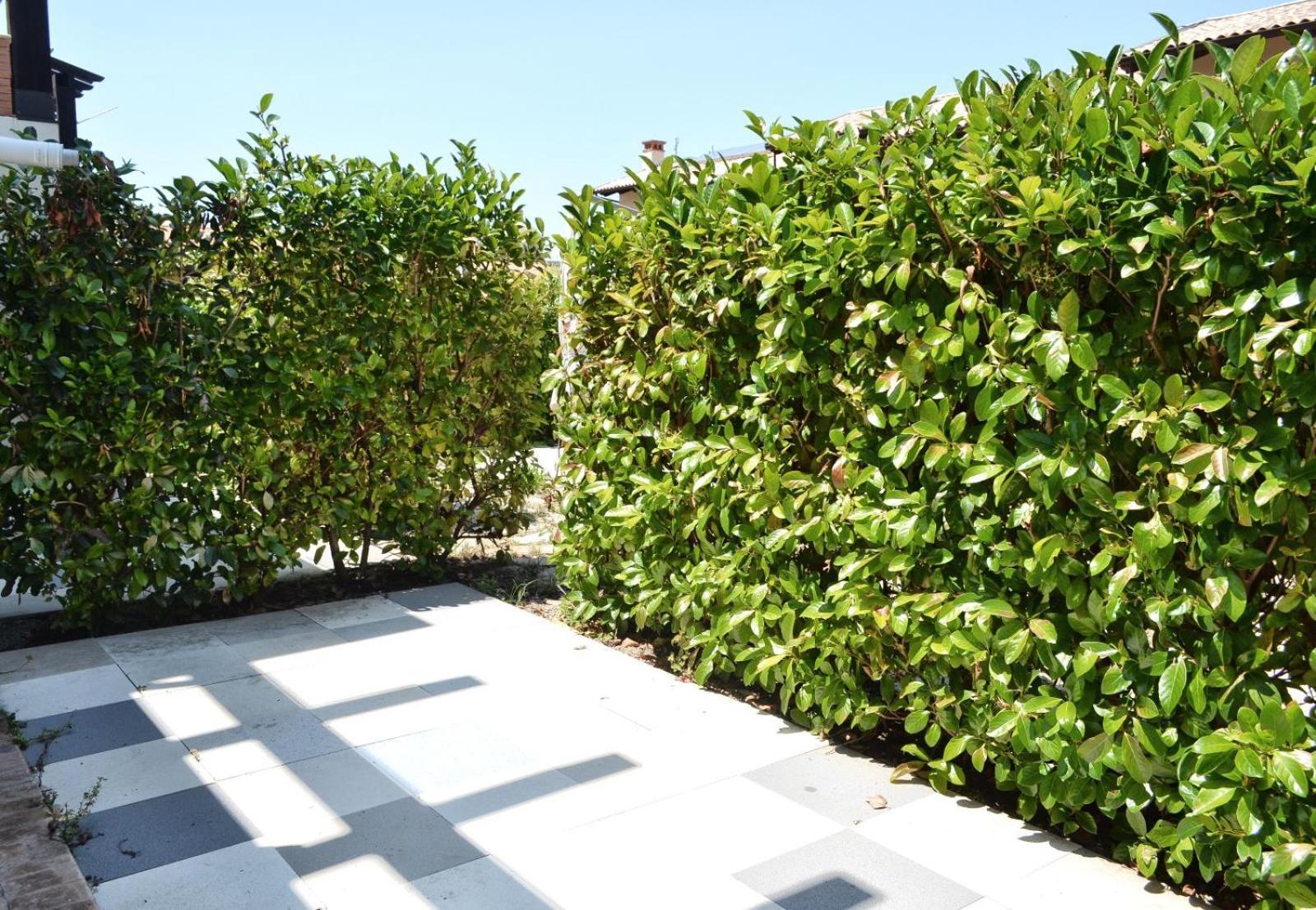 Le Case Del Carmine Con Giardino E Parcheggio A تروبيا المظهر الخارجي الصورة